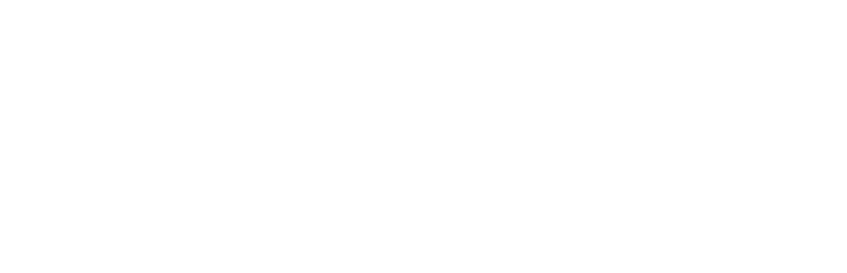 Default Logo